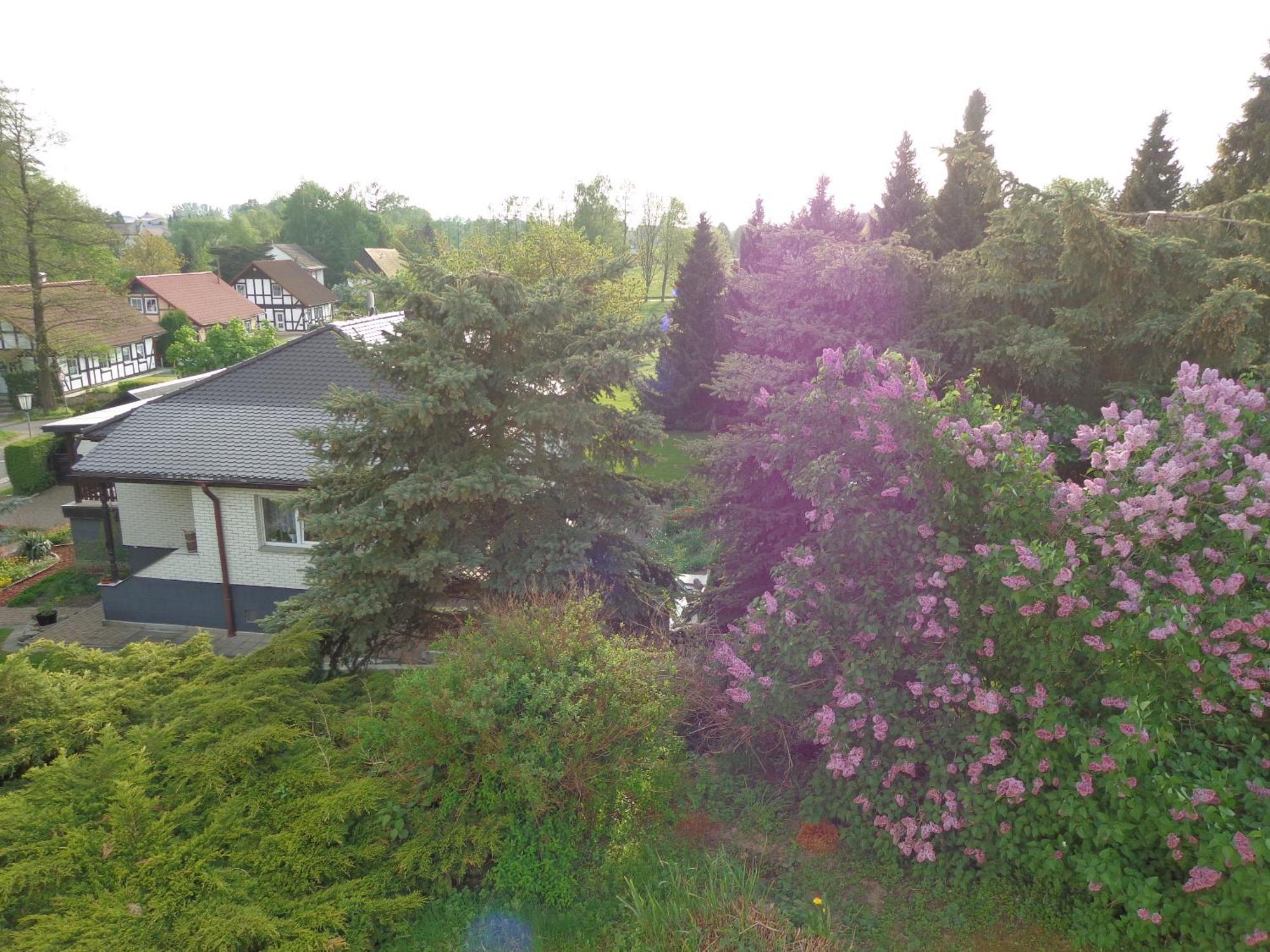 Pension Sonnenhuegel Markersdorf エクステリア 写真